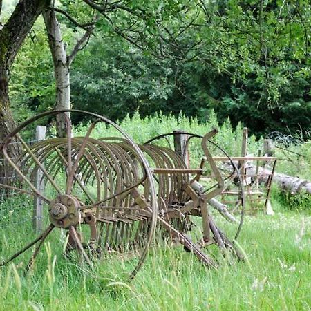 Hendre Aled Cottage 1 Llansannan Экстерьер фото