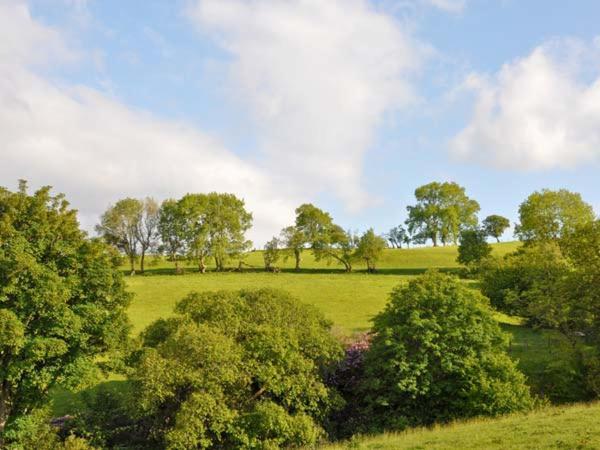 Hendre Aled Cottage 1 Llansannan Экстерьер фото